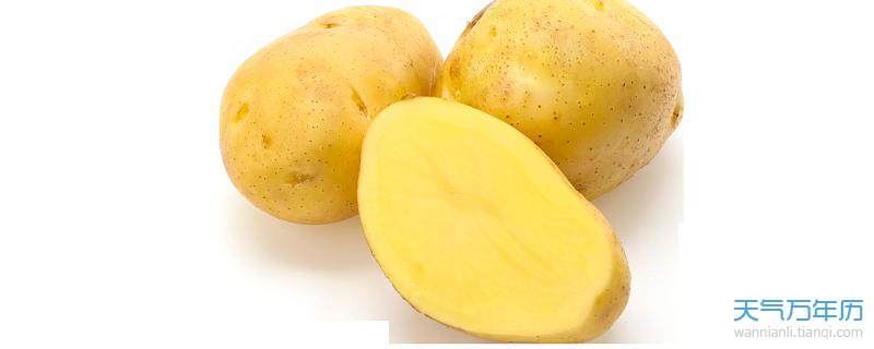 孕妇梦见土豆,寓意与解读 孕妇梦见土豆,寓意与解读