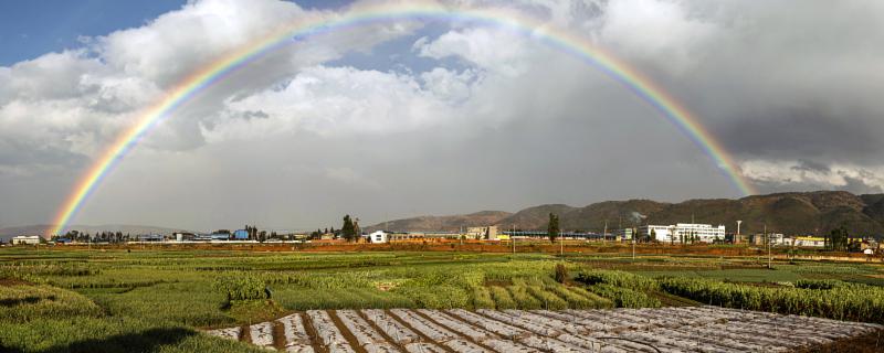 梦见雨后彩虹意味着什么 梦见雨后彩虹的含义是什么