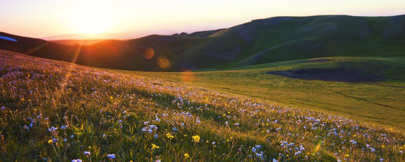 梦到荒野什么意思 梦见荒野预兆着什么