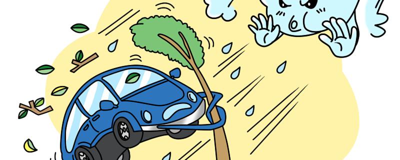 梦见风大预示着什么 梦见风大是什么征兆