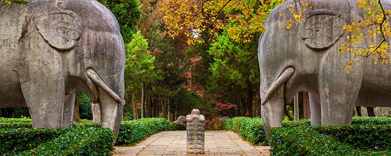 梦到道路是什么寓意 梦见道路是什么征兆