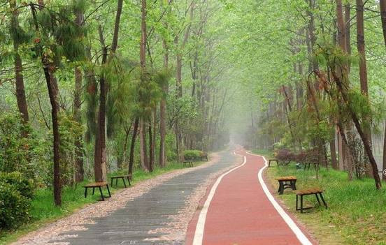 安徽有哪些免费的景点