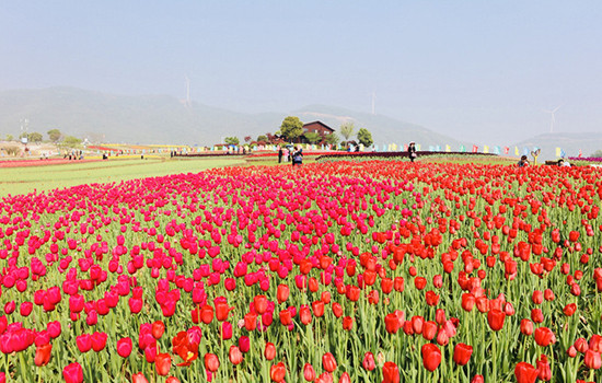 安徽有哪些免费的景点