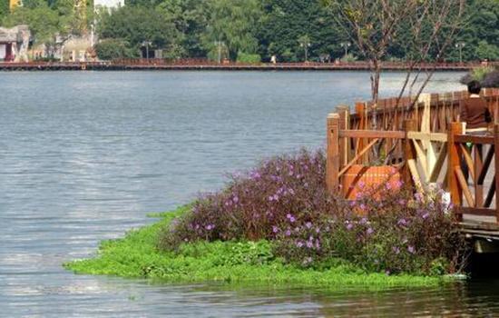 安徽哪些地方可以钓鱼