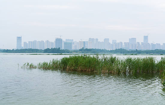 合肥有哪些适合钓鱼的地方