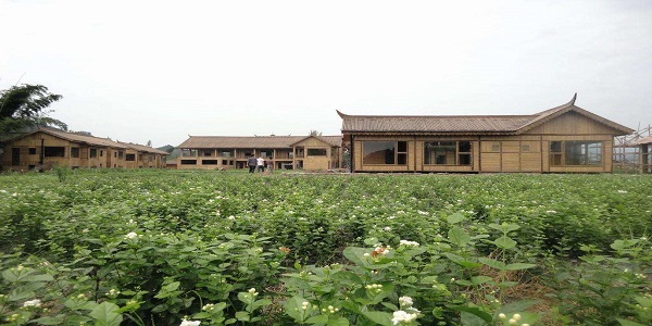 蜀南茉莉香都是说哪里