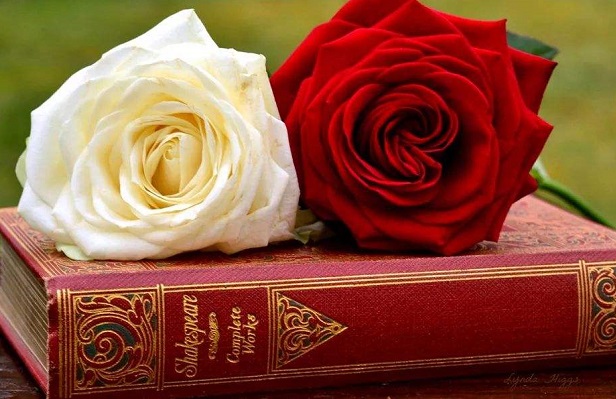 什么时候去英国玩最好