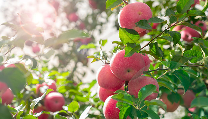 莱西适合孩子玩的地方