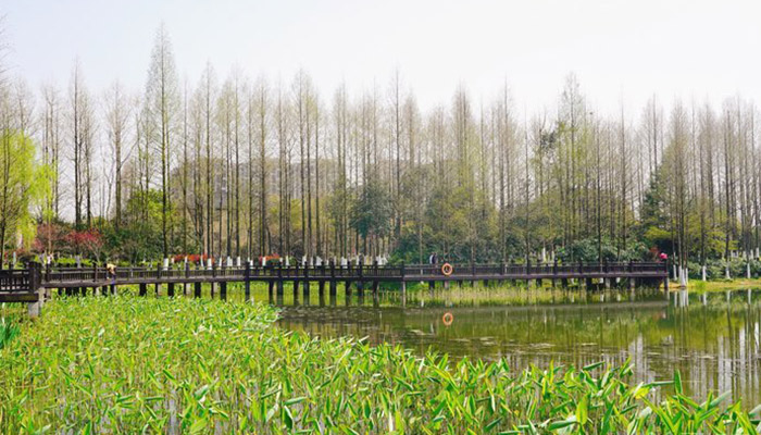 杭州周边的山有哪些