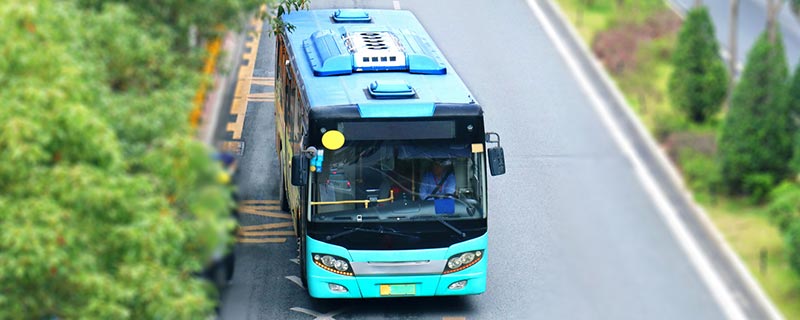 重庆鸿恩寺公园公交线路