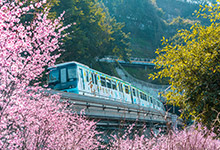 重庆地铁一日票多少钱