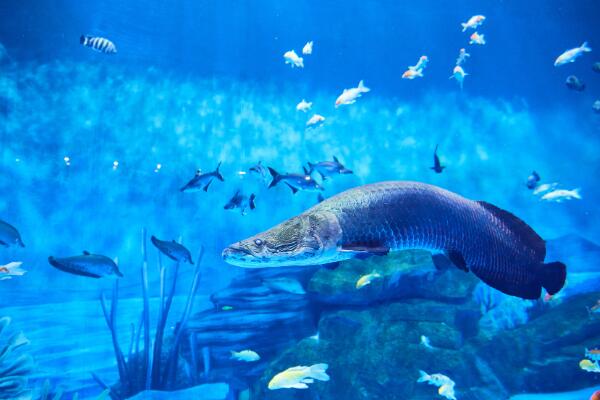 三亚是几线城市