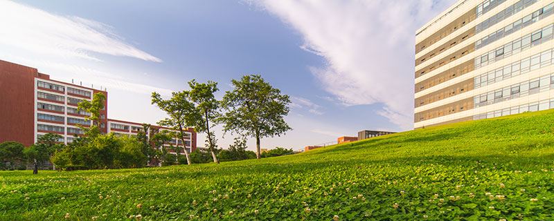 山东理工大学地址