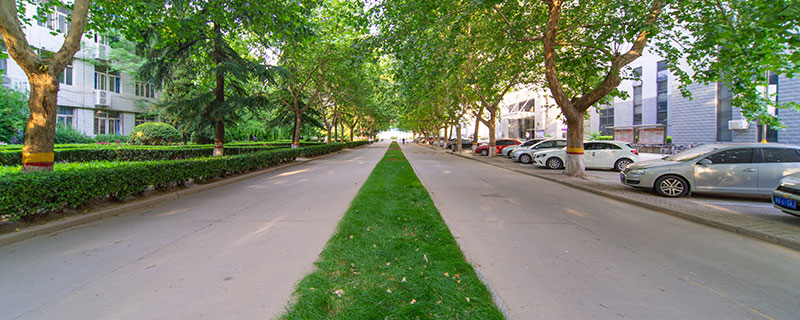 山东第一医科大学地址