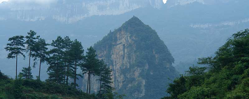 重庆金佛山门票多少钱