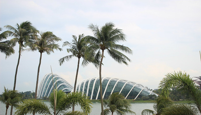 新加坡币兑换人民币是多少