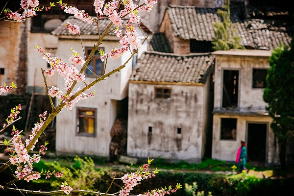 南阳古镇在哪个省