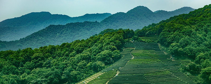 平度市景区有哪些