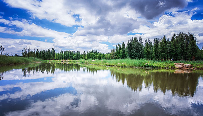 平阴黄河楼在哪里