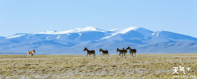 青海最高的山是什么山