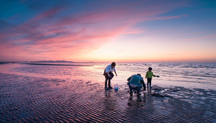 日照几月份赶海最合适