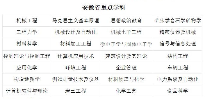 合肥工业大学有哪些重点学科