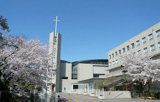 日本东北大学怎么样