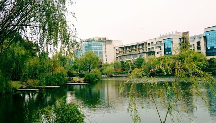 浙江财经大学是几本