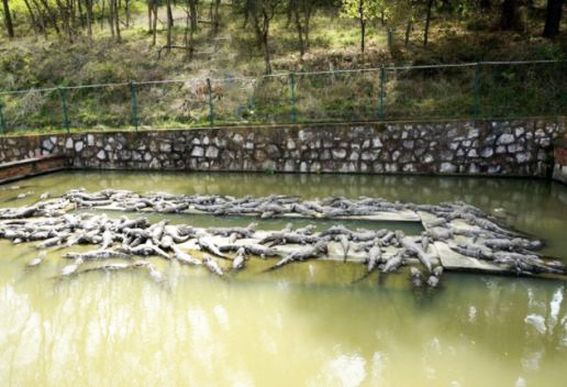 安徽宣城旅游景点介绍