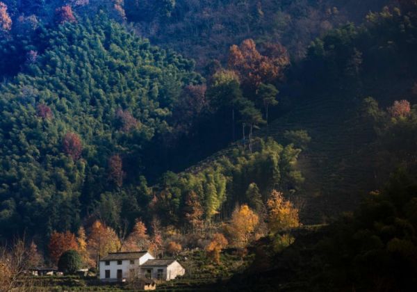 安徽池州市简介