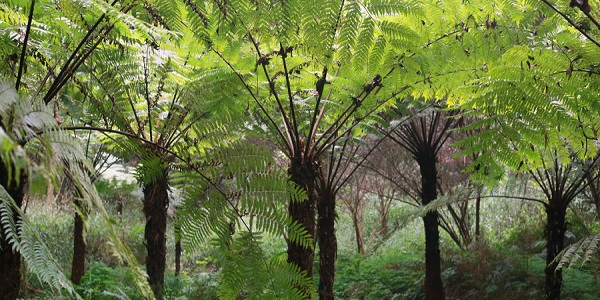 乐山市有哪些好玩的景点