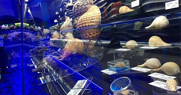 日照市有几个博物馆