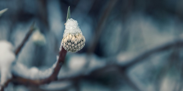 乐山属于什么气候