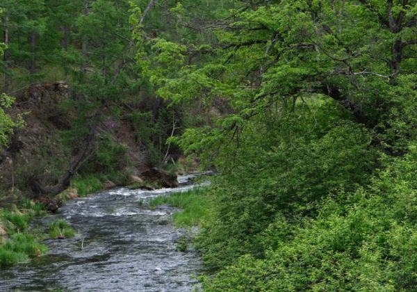 安徽淮南大通区风景名胜介绍