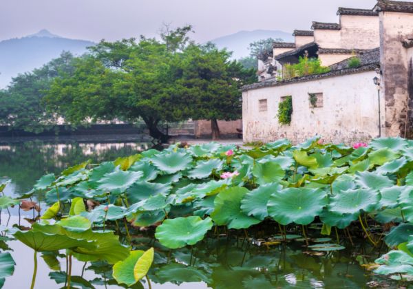 安徽淮南谢家集地理环境