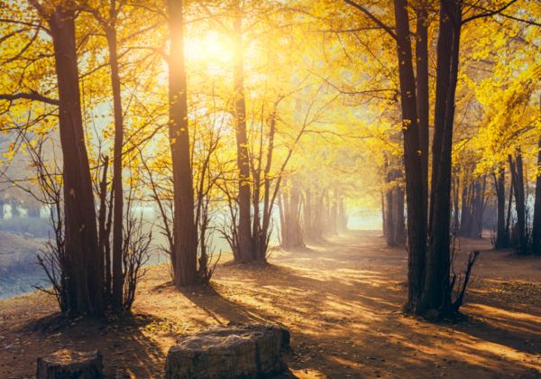 安徽淮南大通区地理环境