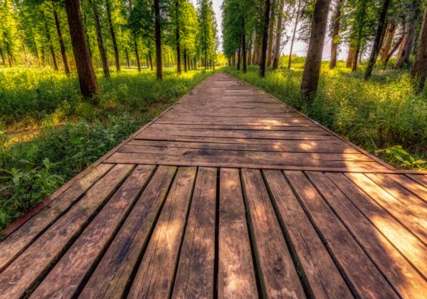 安徽淮南大通区气候情况