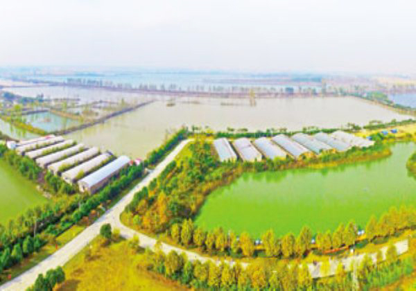 安徽淮南潘集区的地理环境