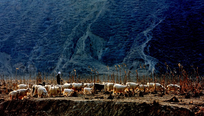 庆阳属于哪个省