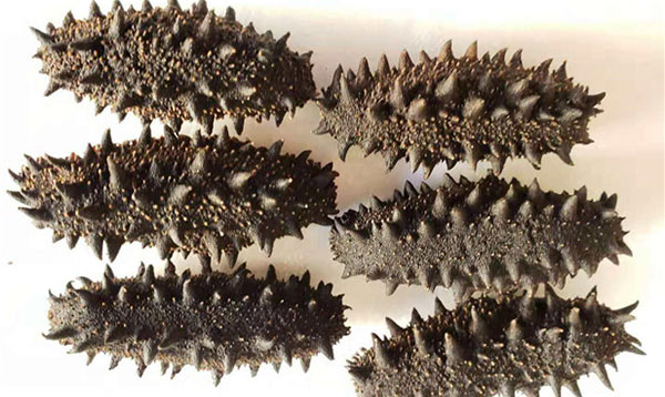 日照有哪些国家地理标志产品