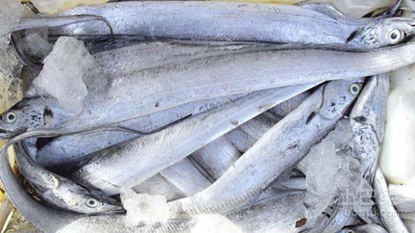 日照有哪些国家地理标志产品