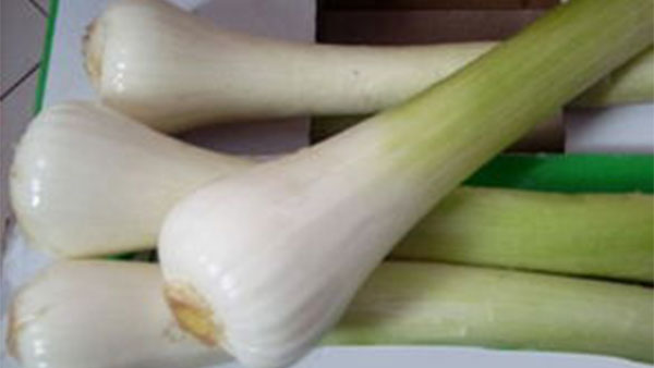 莱芜有哪些特产