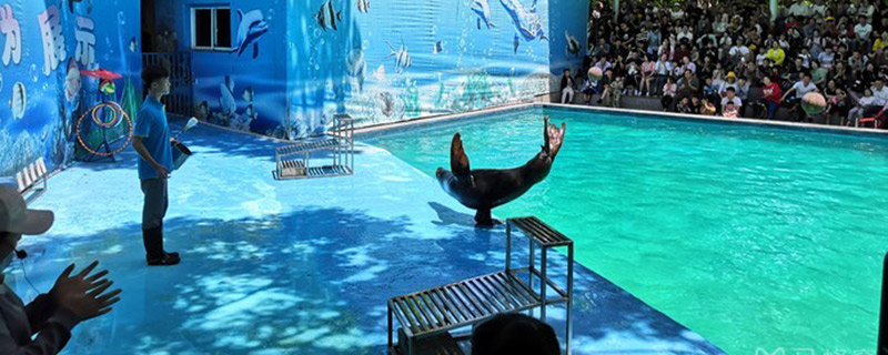 杭州动物园门票