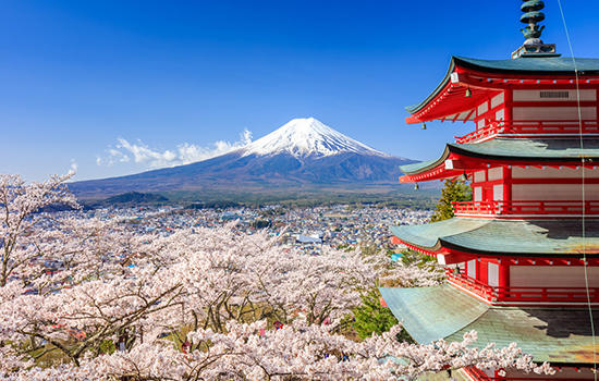 日本有哪些媒体