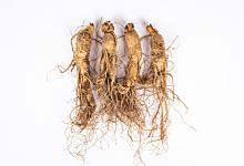 梦见人参坏了是什么意思 梦见人参坏了是什么预兆