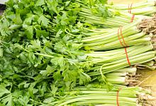 女人梦见摘青菜是怎么回事？女人... 女人梦见摘青菜预兆着什么