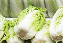 梦到种白菜预示着什么 梦到种白菜表示什么