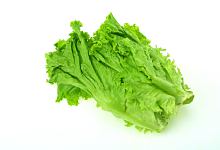 梦见生菜好不好 梦见生菜预示什么