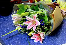 梦见种百合预示什么 梦见种百合是什么意思