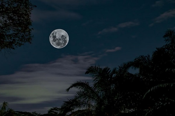 梦见月亮挂在树梢什么意思 梦见月亮挂在树梢预示什么